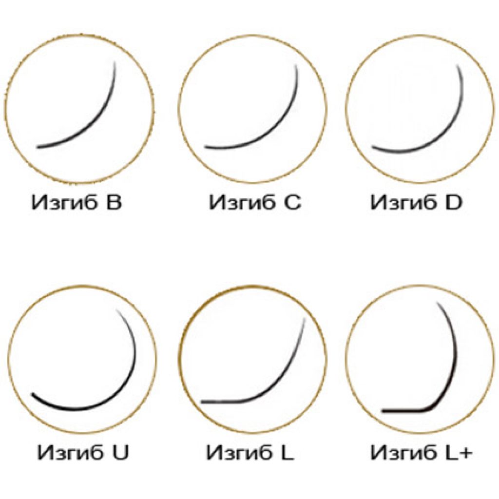 Изгиб ресниц для наращивания виды. Наращивание ресниц 2д изгиб. Виды изгибов ресниц для наращивания отличия. Типы изгибов нарощенных ресниц. Изгибы нарощенных ресниц виды.